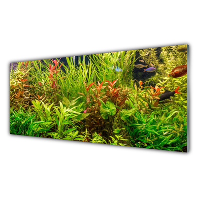 Tavla plexiglas Akvariefiskväxter