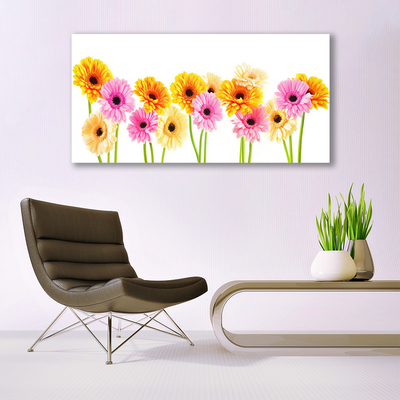 Akrylglas bild Färgglada Gerbera blommor