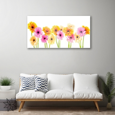 Akrylglas bild Färgglada Gerbera blommor