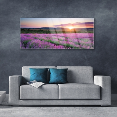 Plexiglas tavla Lavender Fields Meadow West