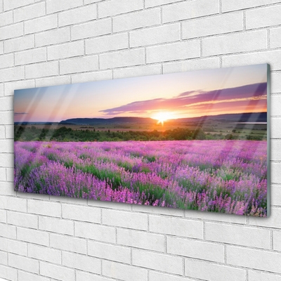 Plexiglas tavla Lavender Fields Meadow West