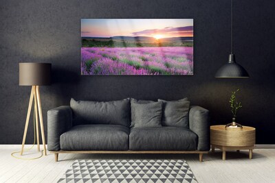 Plexiglas tavla Lavender Fields Meadow West