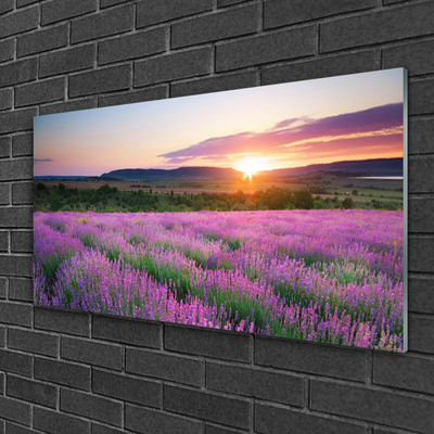 Plexiglas tavla Lavender Fields Meadow West