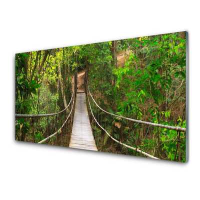 Plexiglas tavla Jungle Tropical Forest Bridge