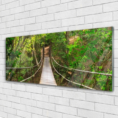 Plexiglas tavla Jungle Tropical Forest Bridge