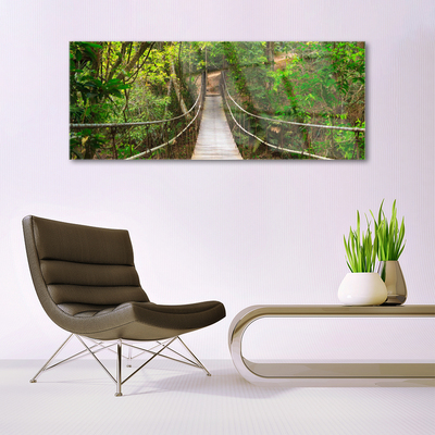 Plexiglas tavla Jungle Tropical Forest Bridge