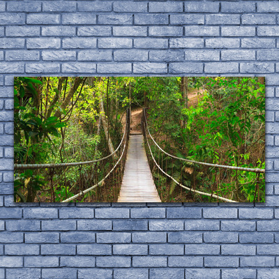 Plexiglas tavla Jungle Tropical Forest Bridge