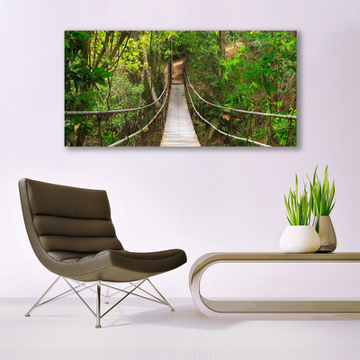 Plexiglas tavla Jungle Tropical Forest Bridge