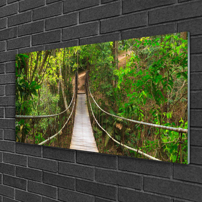 Plexiglas tavla Jungle Tropical Forest Bridge