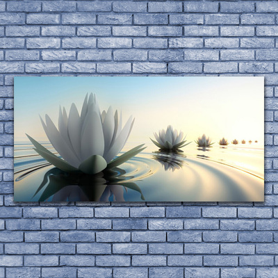 Bild på akrylglas Näckrosor Blommor Damm
