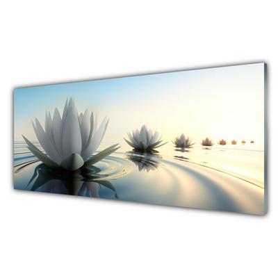 Bild på akrylglas Näckrosor Blommor Damm