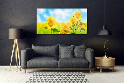 Akrylglas bild Solros Blommor Natur
