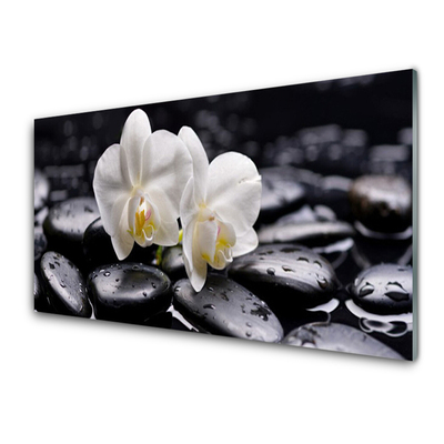 Plexiglas tavla Zen White Orchid Spa