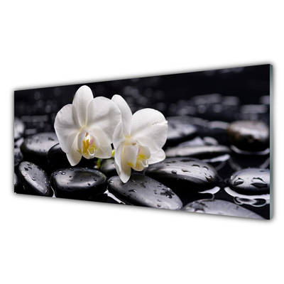 Plexiglas tavla Zen White Orchid Spa