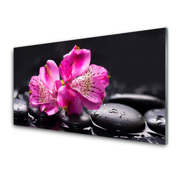 Akrylglas bild Blommor Zen Spa stenar