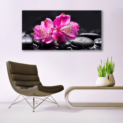 Akrylglas bild Blommor Zen Spa stenar