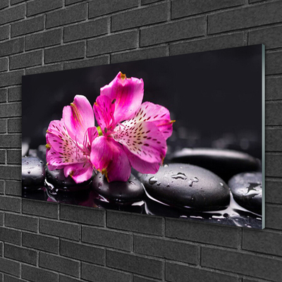 Akrylglas bild Blommor Zen Spa stenar