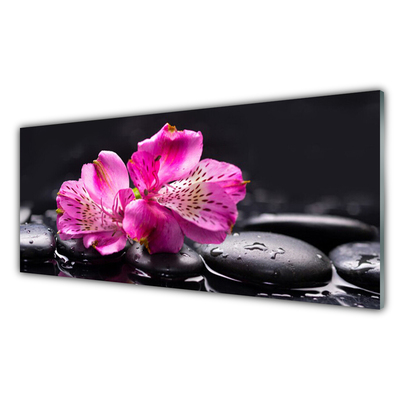 Akrylglas bild Blommor Zen Spa stenar