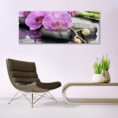 Tavla plexiglas Orchid Zen Orchid Spa