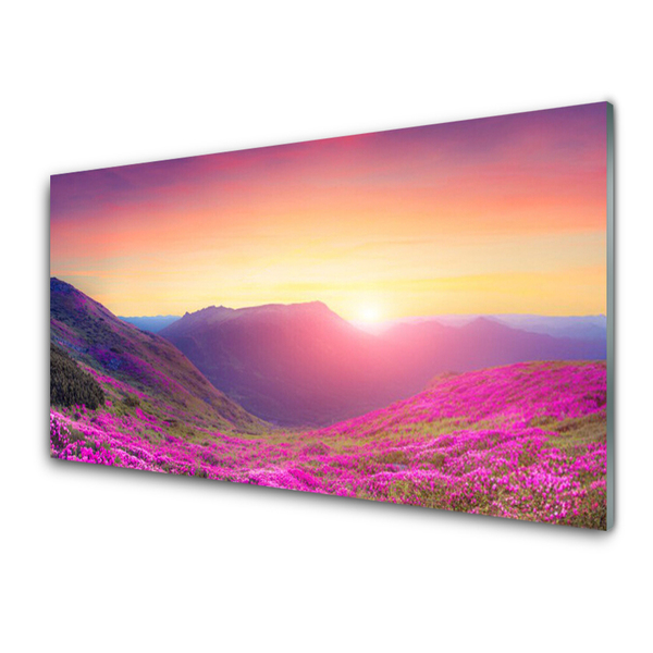 Plexiglas tavla Sun Mountains Meadow Natur