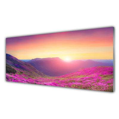 Plexiglas tavla Sun Mountains Meadow Natur