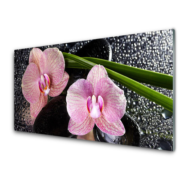 Plexiglas tavla Blommor Orchid Orchid Zen