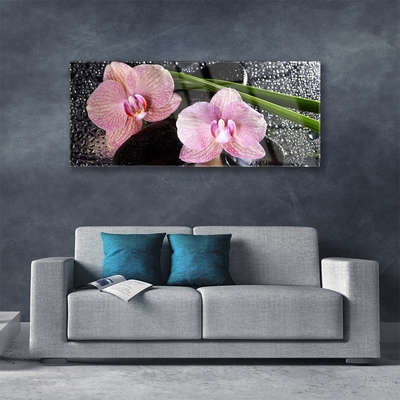 Plexiglas tavla Blommor Orchid Orchid Zen