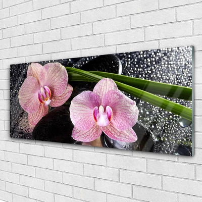 Plexiglas tavla Blommor Orchid Orchid Zen