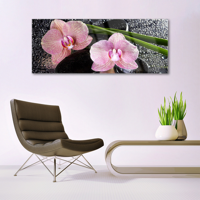 Plexiglas tavla Blommor Orchid Orchid Zen