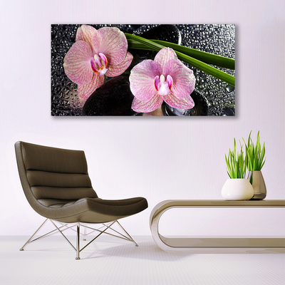 Plexiglas tavla Blommor Orchid Orchid Zen