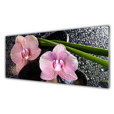 Plexiglas tavla Blommor Orchid Orchid Zen