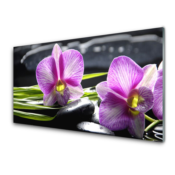 Akryltavla Orchid Stones Zen Spa