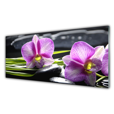 Akryltavla Orchid Stones Zen Spa