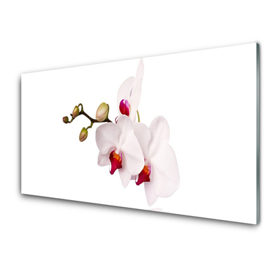 Plexiglas tavla Blommor Natur Orchid