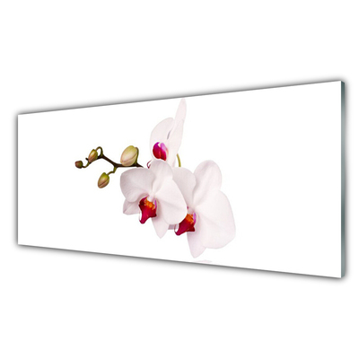 Plexiglas tavla Blommor Natur Orchid