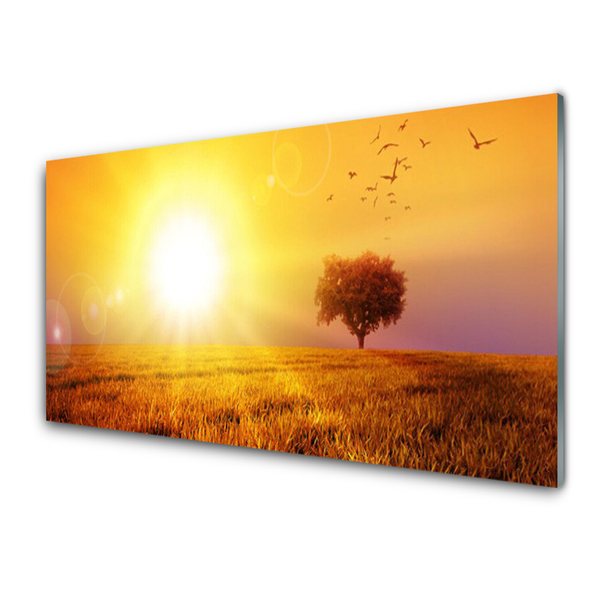 Tavla plexiglas Sunset Meadow Birds