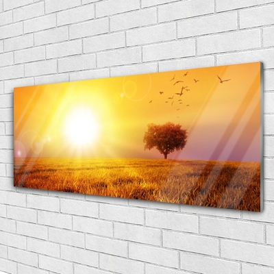 Tavla plexiglas Sunset Meadow Birds