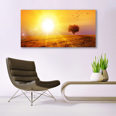 Tavla plexiglas Sunset Meadow Birds