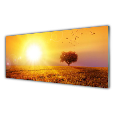 Tavla plexiglas Sunset Meadow Birds