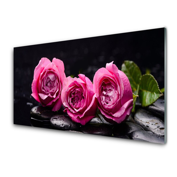 Tavla plexiglas Roses Stones Zen Spa Nature