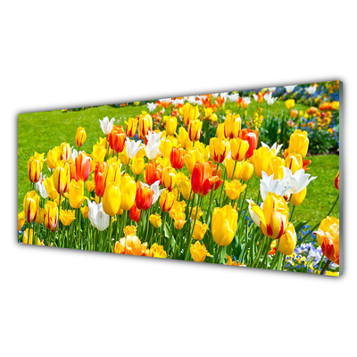 Plexiglas tavla Tulpaner Blommor Natur