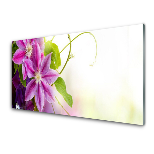 Akrylglas bild Blommor Natur Natur