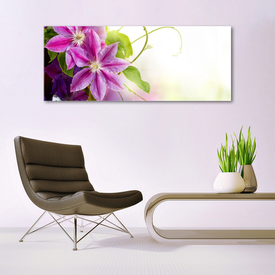 Akrylglas bild Blommor Natur Natur