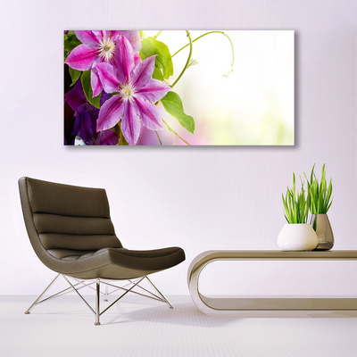 Akrylglas bild Blommor Natur Natur