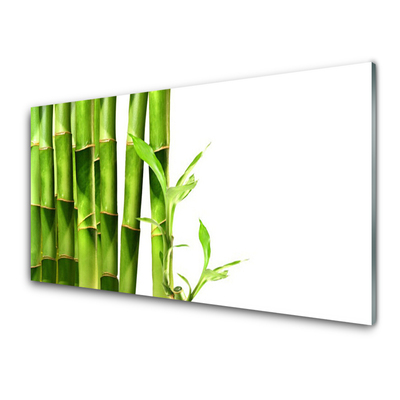 Kök stänkskydd Bambuväxt