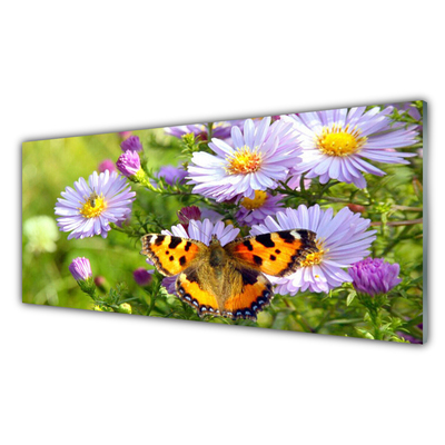 Stänkpanel Blommor Fjäril Växt Natur