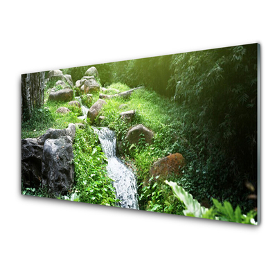 Stänkpanel Stream Grass Nature Plant