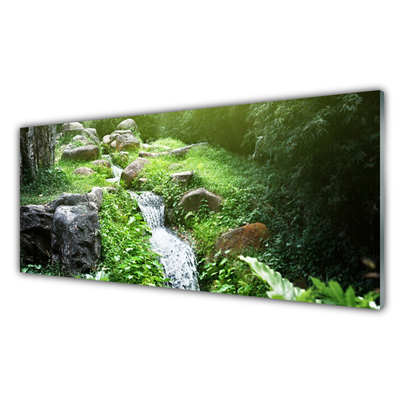 Stänkpanel Stream Grass Nature Plant