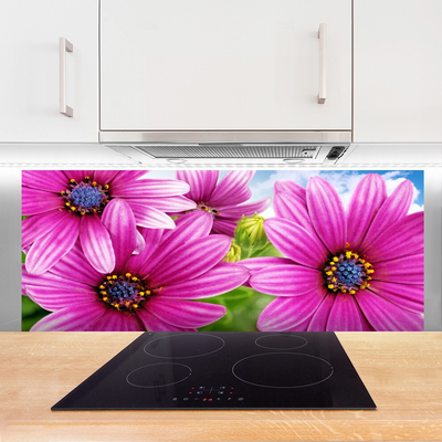 Stänkskydd kök Blommor På Väggen