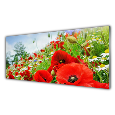 Stänkpanel Blommor Naturen